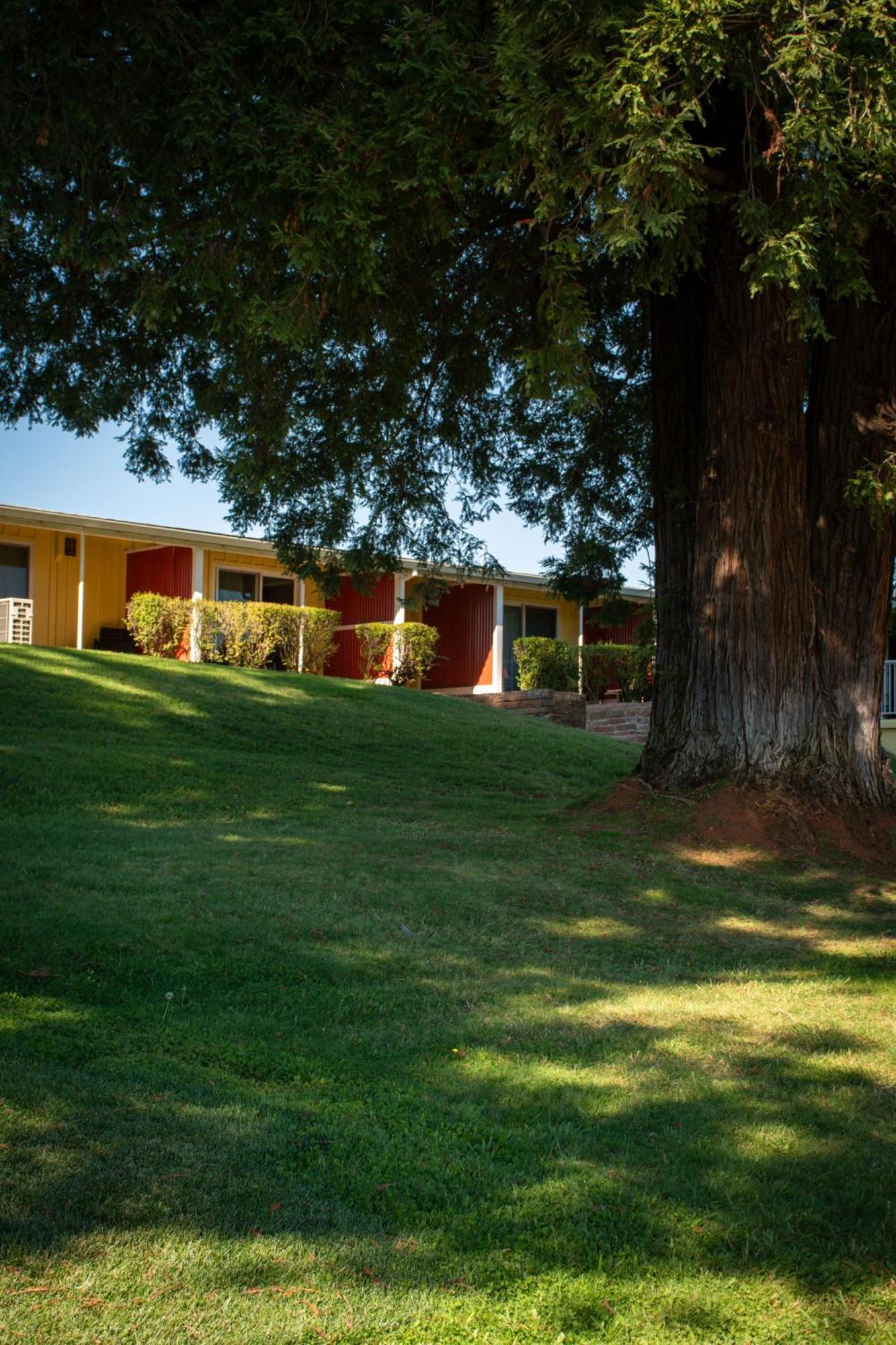 Foothills Motel Auburn Exterior photo